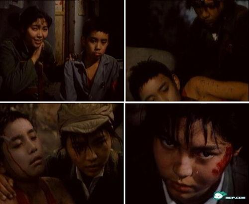 电影枫在线观看,穿越时空的浪漫邂逅